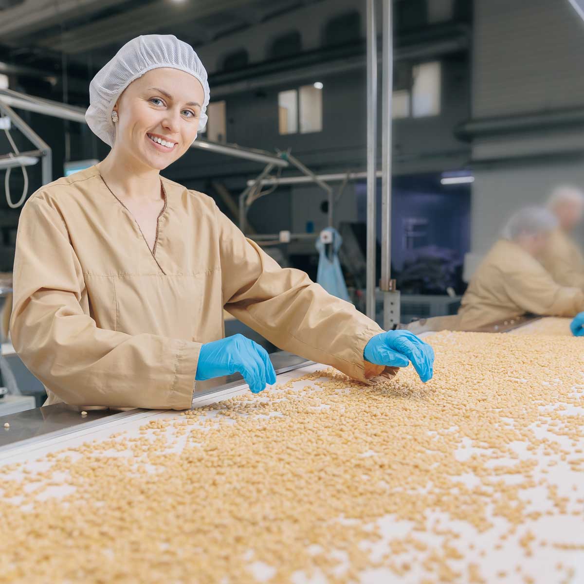 Worker woman for visual control quality raw pine nuts